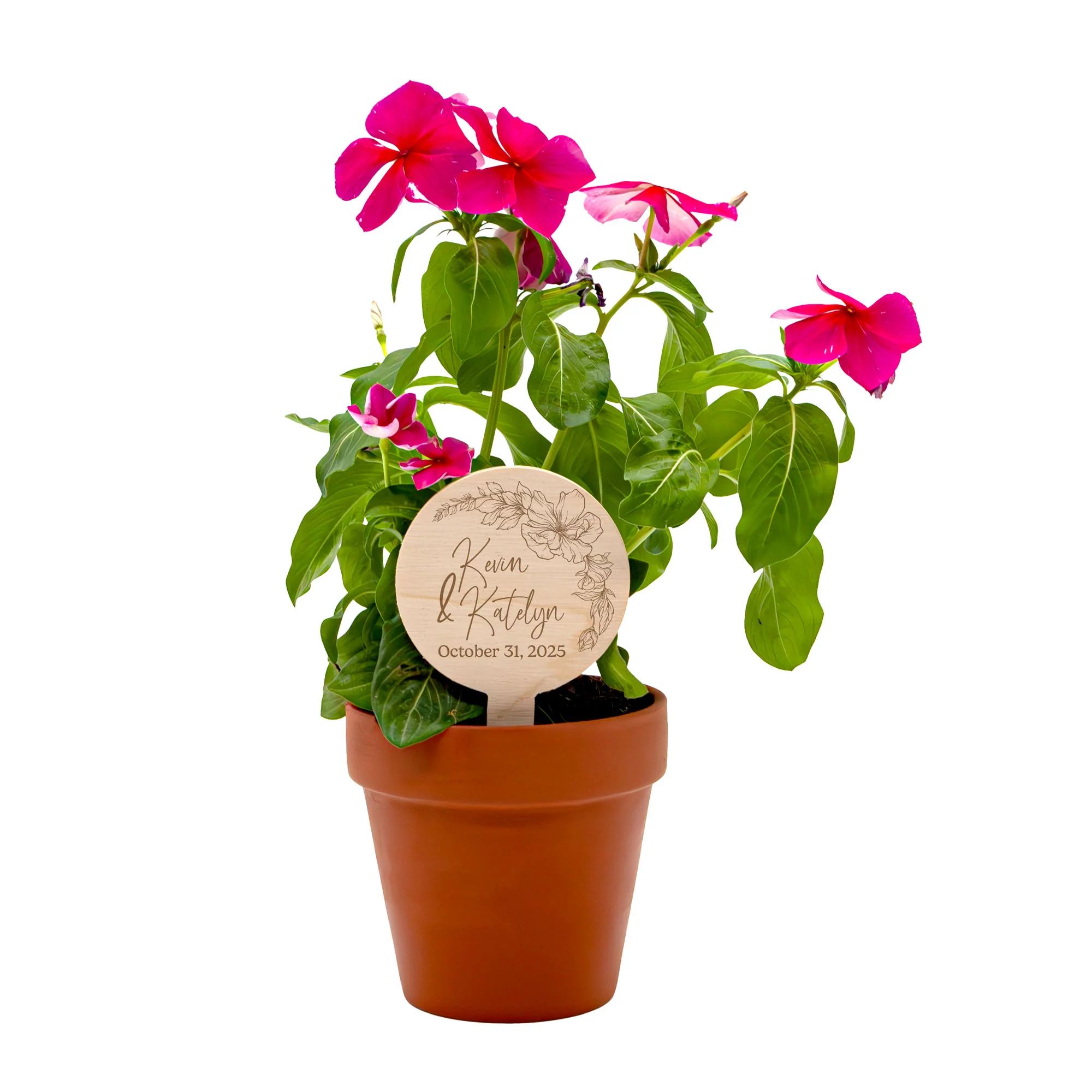 Custom Laser Engraved Small Wooden Planter Tag, 10 Pack - Floral Frame - Handcrafted in the USA - Image 6