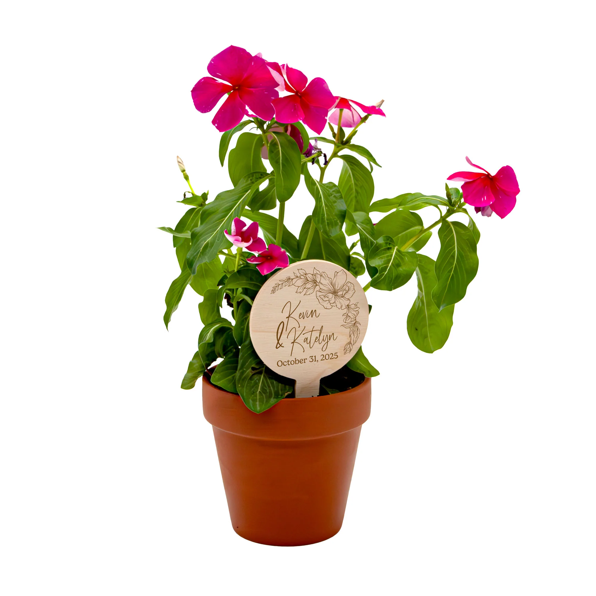 Custom Laser Engraved Small Wooden Planter Tag, 10 Pack - Floral Frame - Handcrafted in the USA - Image 7