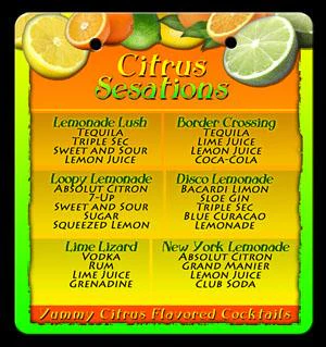 Flip Menus with Shooter Recipes with Flip Menu Stand - Image 12