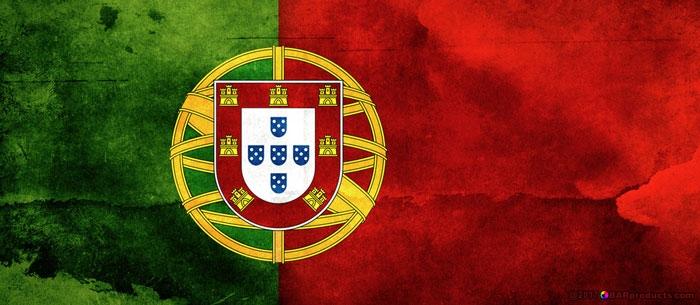 Kolorcoat™ Flair Bottle - Portugal Flag Design - 750ml - Image 3