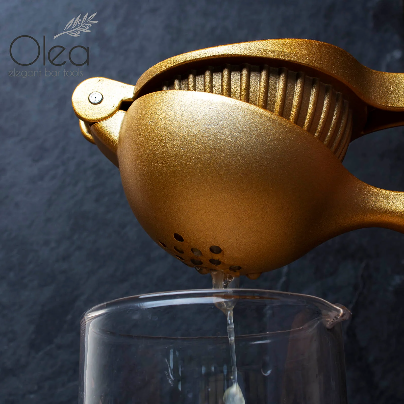 Olea™ Citrus Juicer - Aluminum - Color Options - Image 5