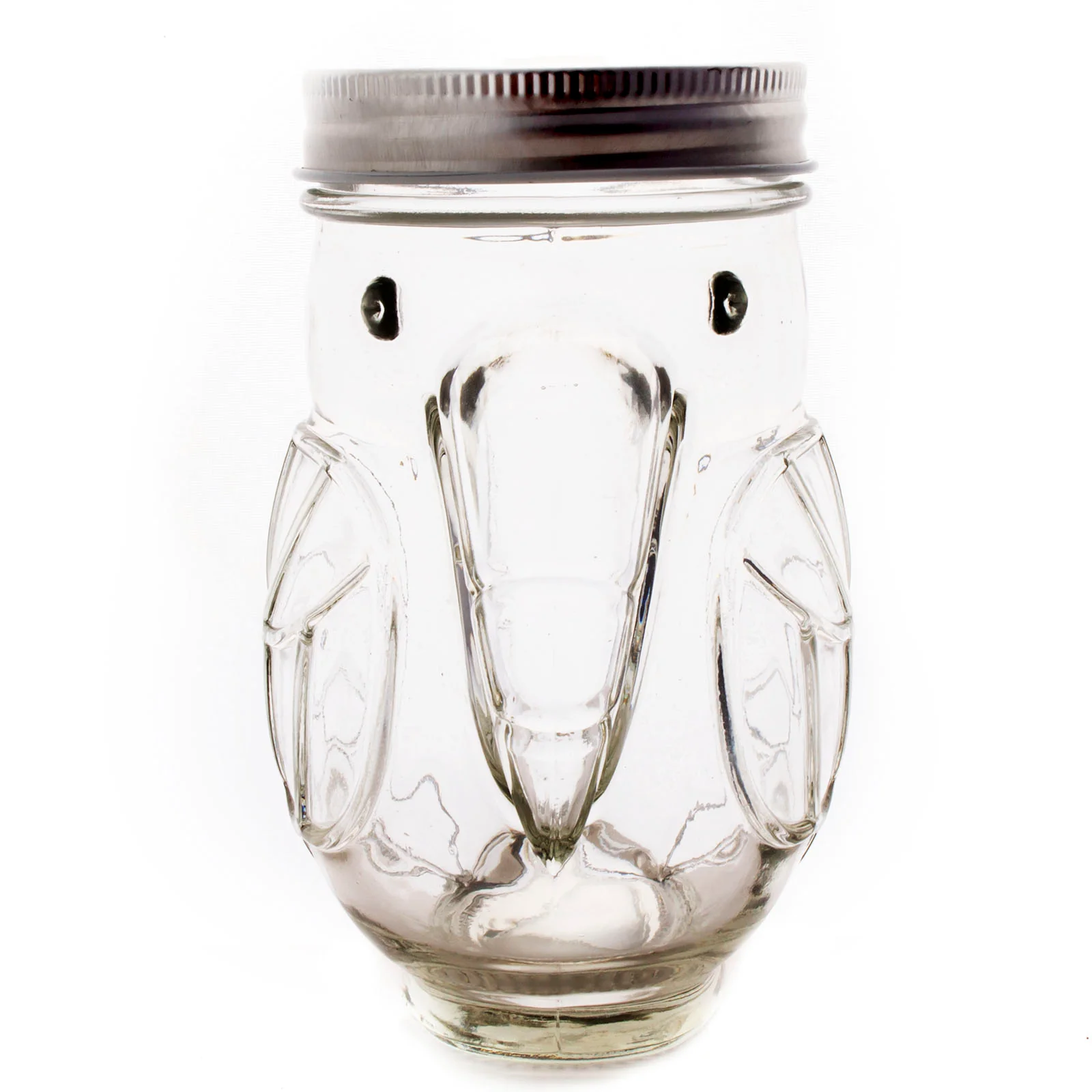 Parrot Mason Jar w/lid - 14 ounce - BarConic® - Image 4