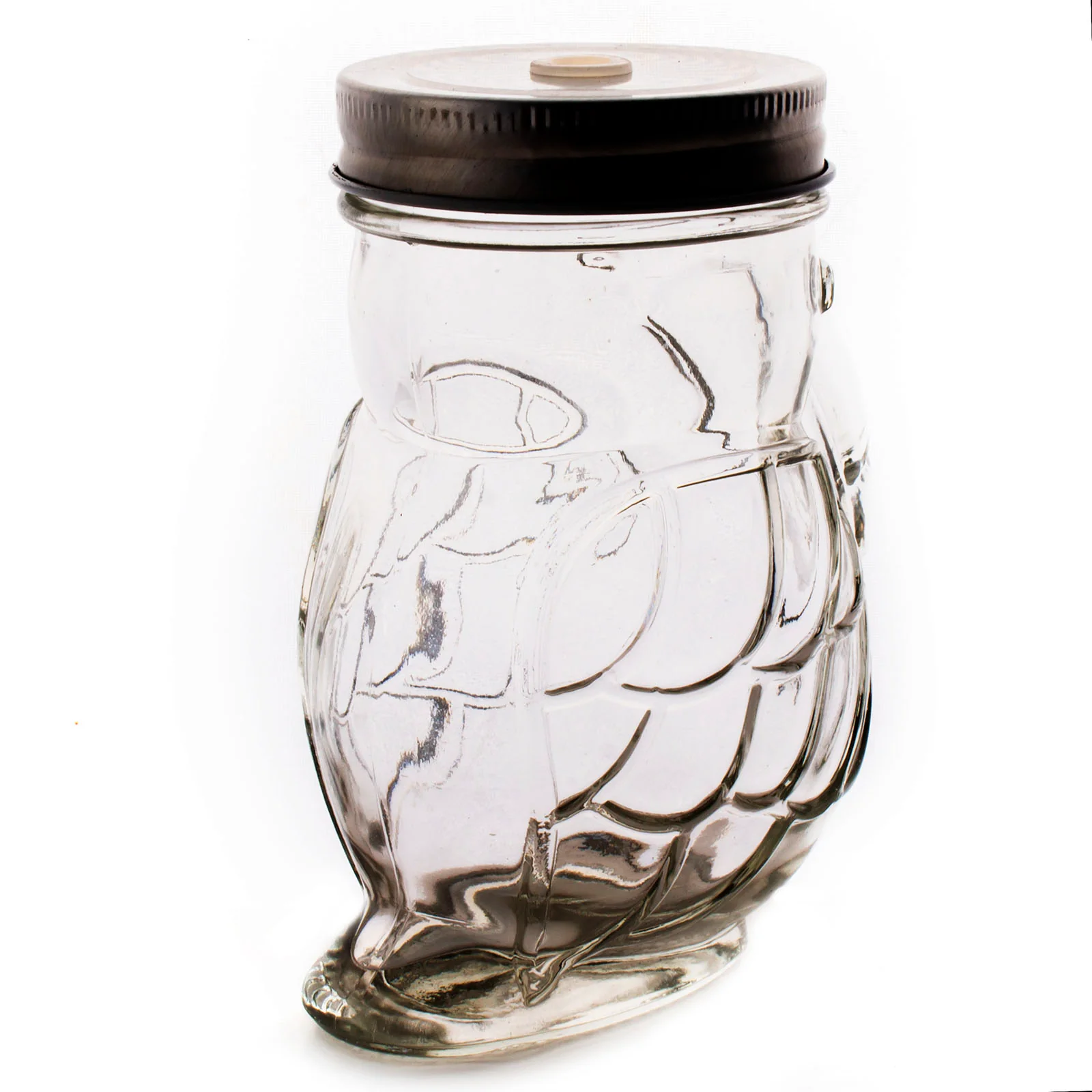 Parrot Mason Jar w/lid - 14 ounce - BarConic® - Image 5