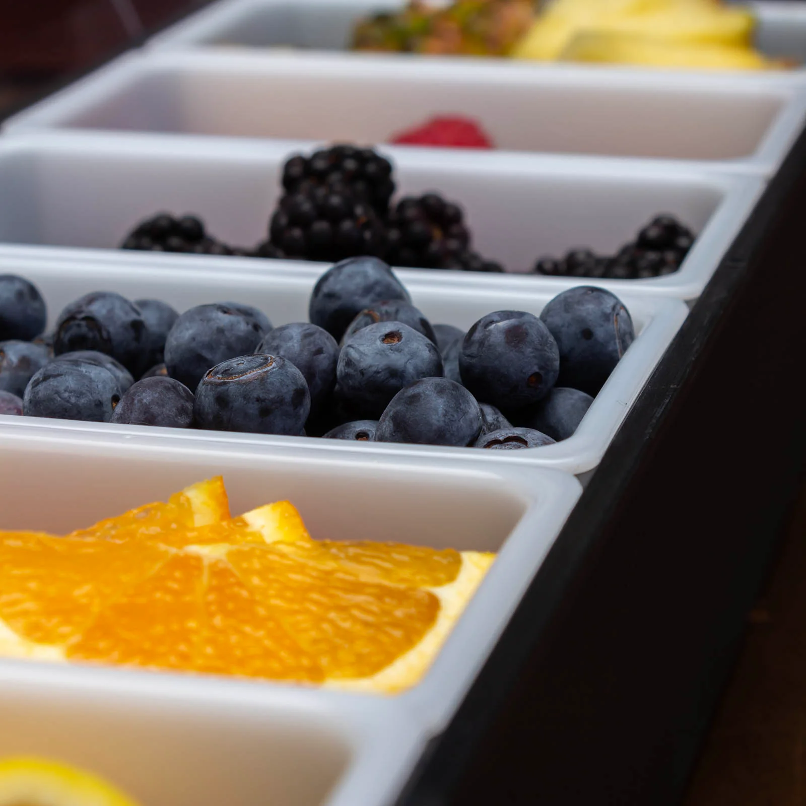 6 Pint Condiment Holder (Fruit Tray) - Flat Lid - Image 9