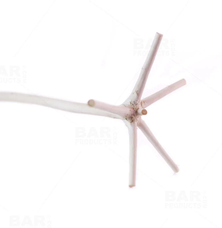 Swizzle Stick - Hand Harvested All Natural - Image 8
